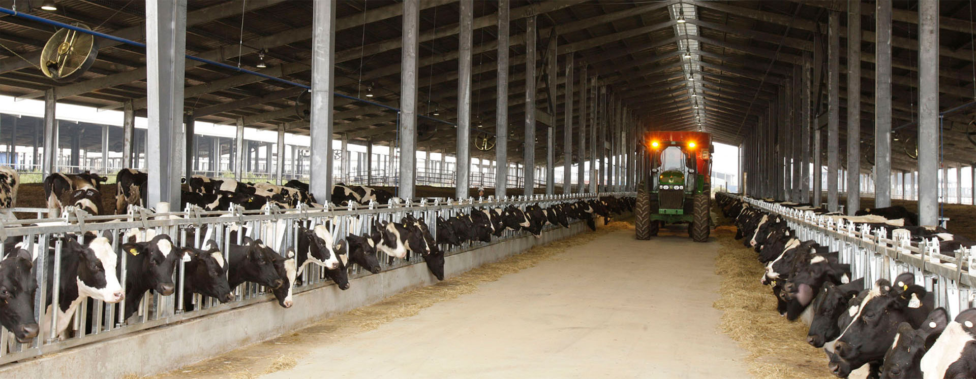 Chăn nuôi bò sữa là một công việc đầy thách thức và cũng mang đến nhiều lợi ích kinh tế. Hãy cùng xem ảnh về các trang trại chăn nuôi bò sữa để hiểu thêm về quy trình nuôi, chăm sóc và thu hoạch sữa tươi ngon.